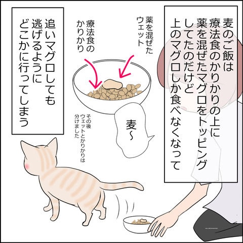 あんこ＆麦kenko103a