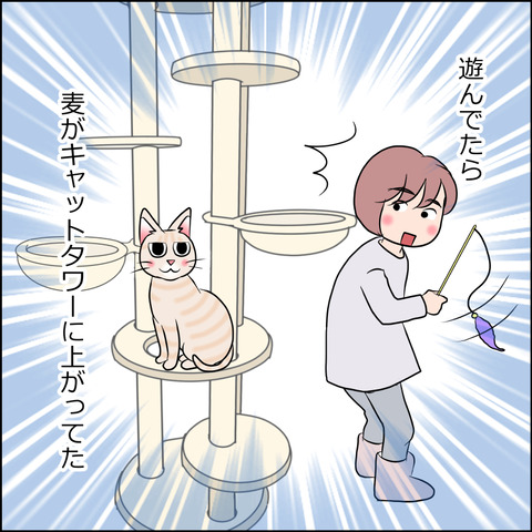 あんこ&麦STORY1794a