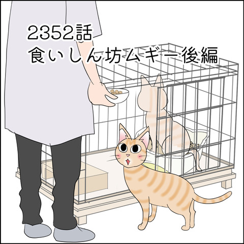 あんこ&麦STORY2352@1
