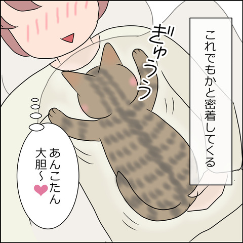 あんこ&麦STORY1760c