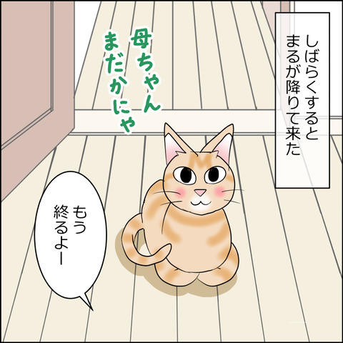 あんこ＆麦STORY2398b