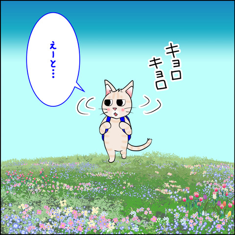 mugitabix001c