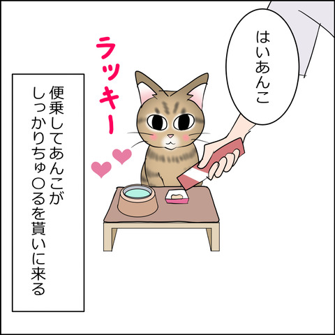 あんこ&麦STORY2471d
