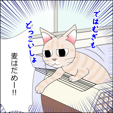 あんこ&麦kenko114d