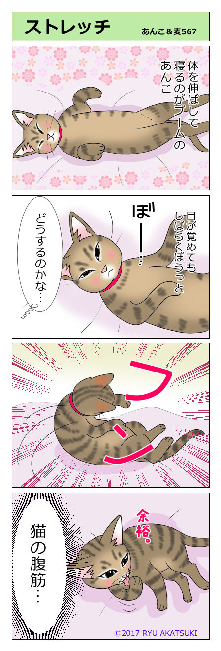 あんこ&麦STORY567