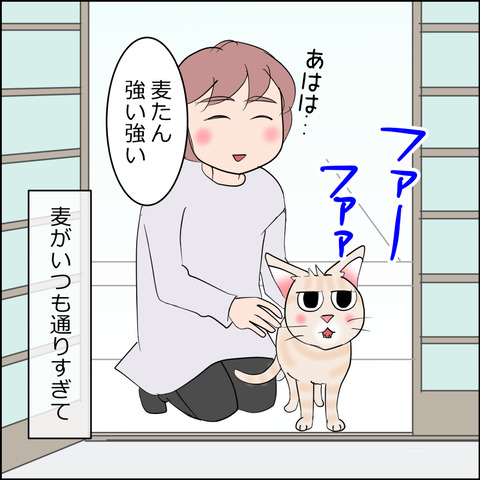 mugitabi019c