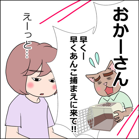 あんこ&麦kenko49c
