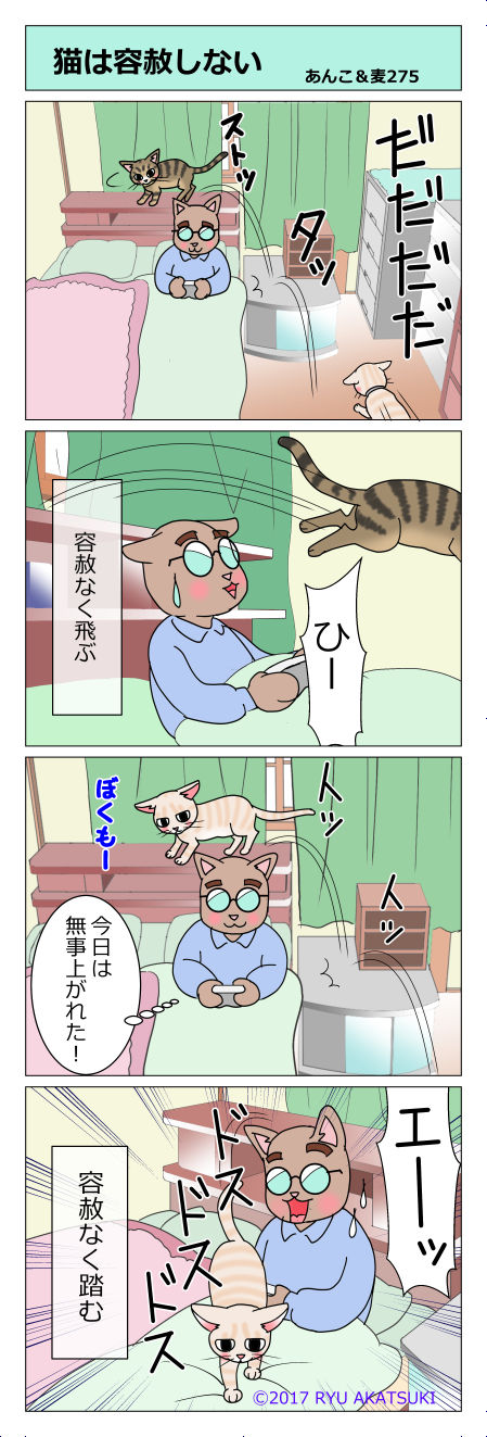 あんこ&麦STORY275