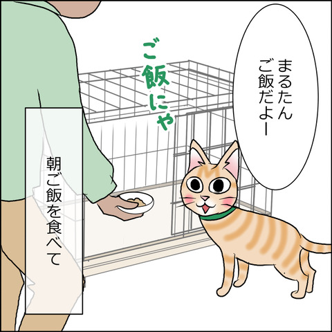 あんこ＆麦STORY1703b