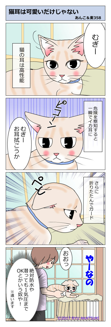 あんこ&麦STORY358