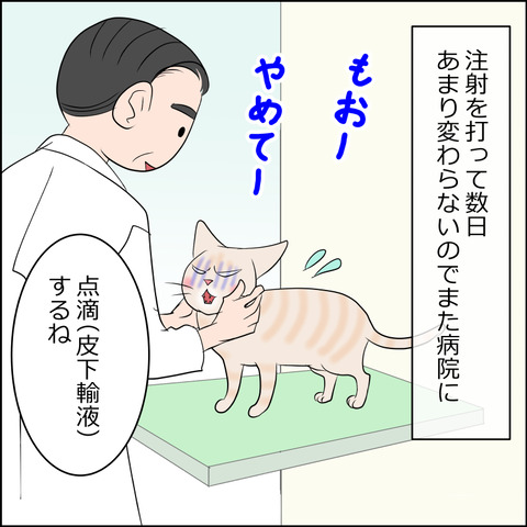 あんこ&麦kenko101a
