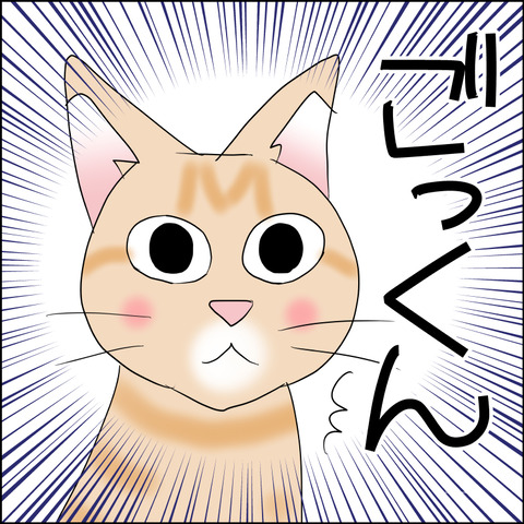 あんこ&麦kenko160c