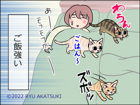 あんこ&麦STORY1529d
