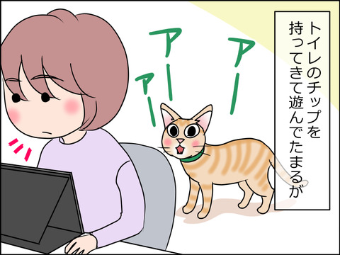 あんこ&麦STORY1486a