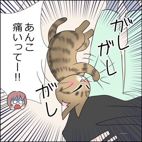 あんこ＆麦STORY2474c