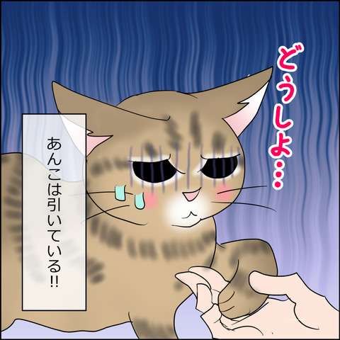 あんこ&麦STORY2481d