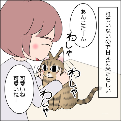あんこ＆麦STORY2409b