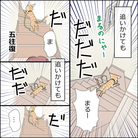 あんこ＆麦STORY2258h