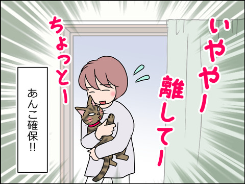 あんこ&麦STORY1515c