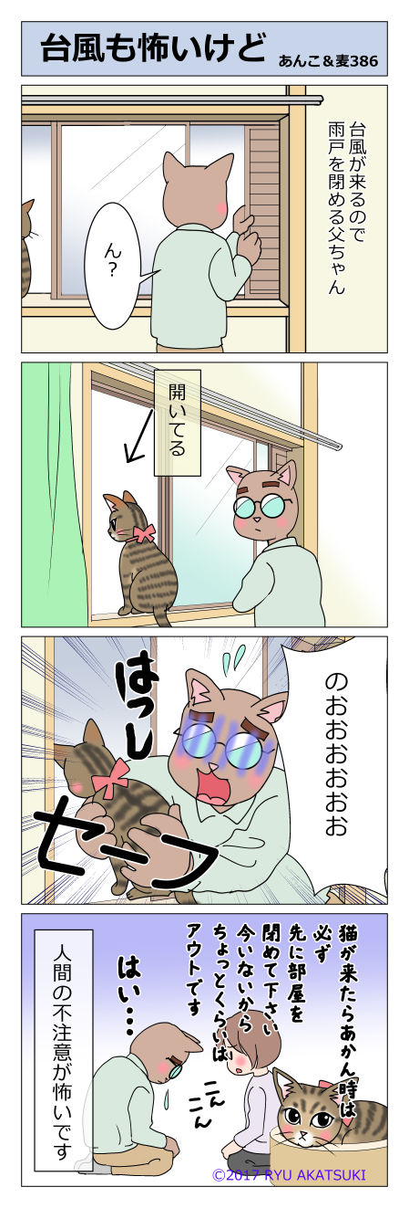 あんこ＆麦STORY386