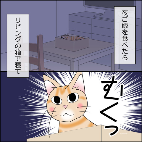 あんこ＆麦STORY2362c