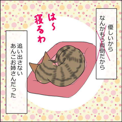 あんこ＆麦STORY2412d