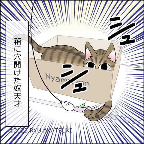 あんこ&麦STORY1831d