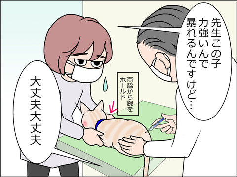 あんこ&麦STORY1522b