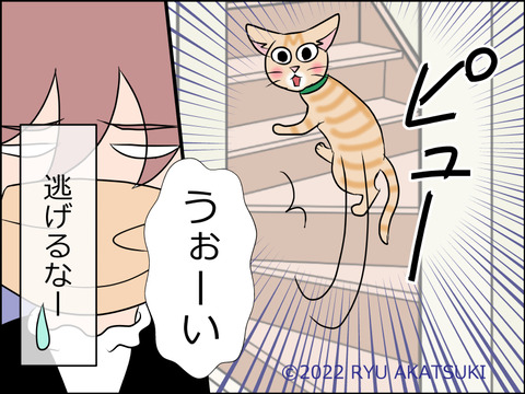 あんこ&麦STORY1585d