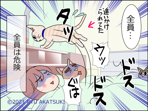 あんこ&麦STORY1457d