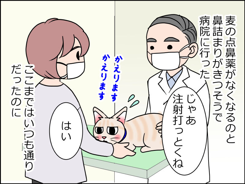 あんこ 麦1522 母ちゃん噛まれる あんこと麦と Powered By ライブドアブログ