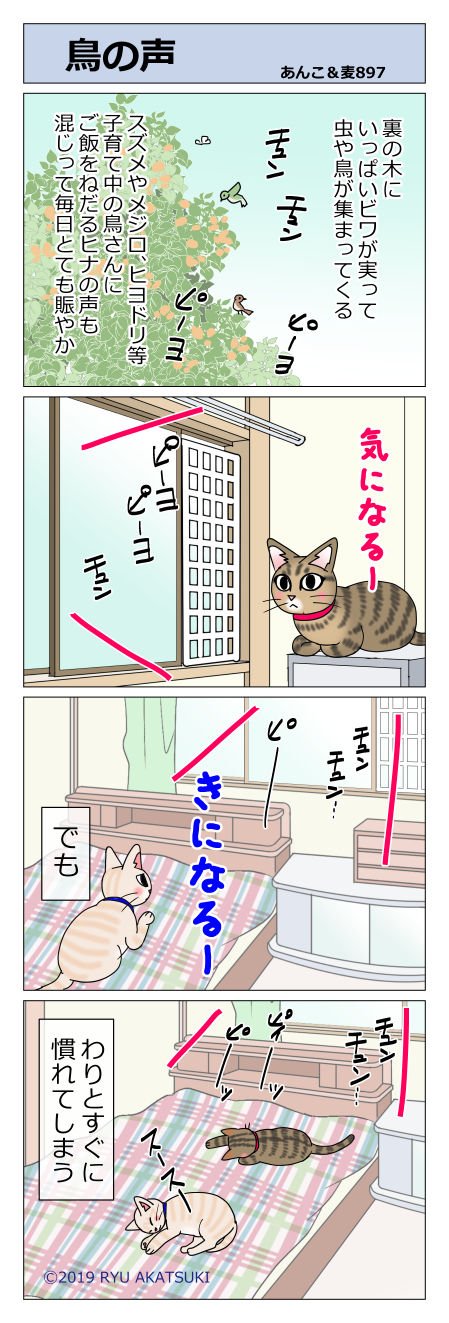 あんこ&麦STORY897