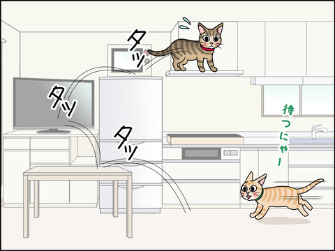 あんこ&麦STORY1438c
