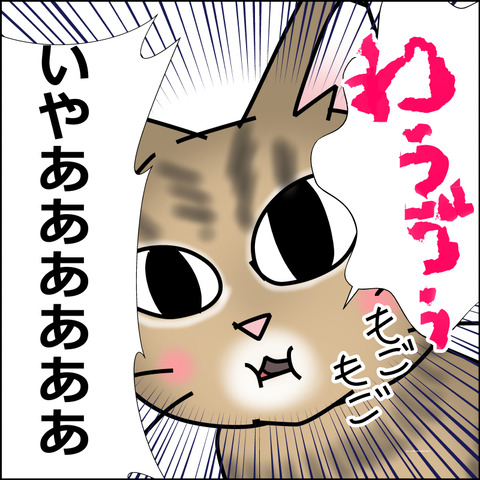 あんこ＆麦STORY2369c