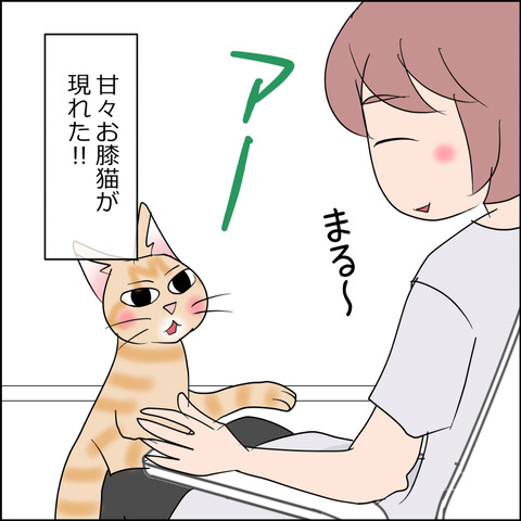 あんこ&麦STORY2477a