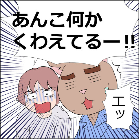 あんこ&麦STORY2367c