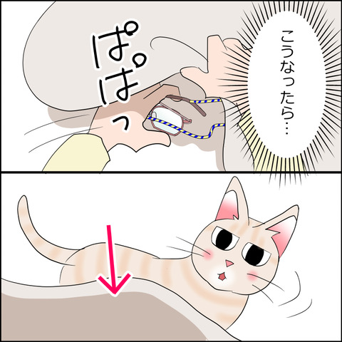 あんこ&麦STORY2292c