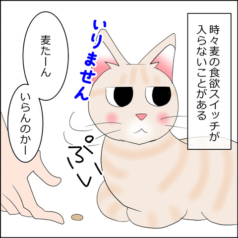 あんこ＆麦STORY2348a