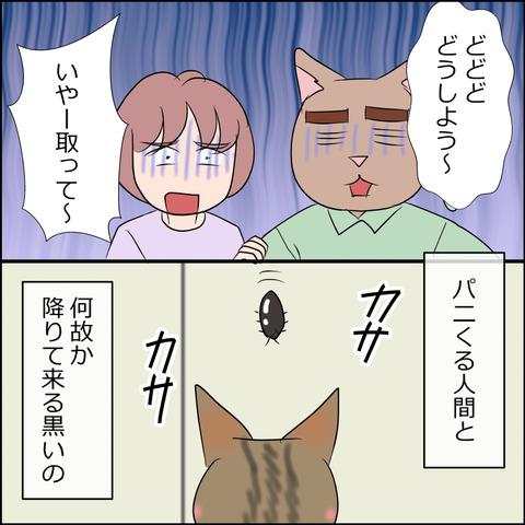 あんこ&麦STORY2098b