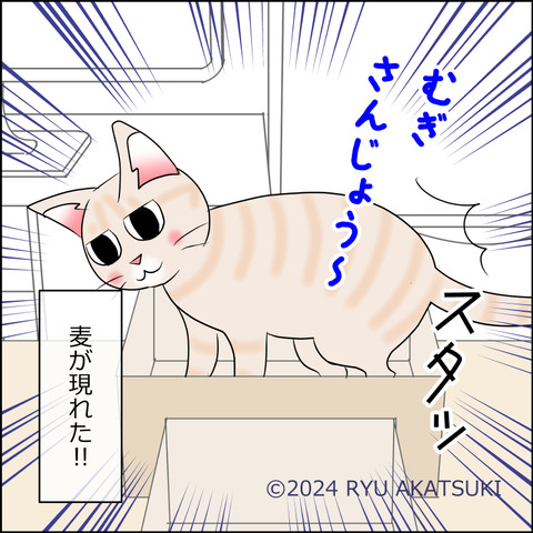 あんこ＆麦STORY2101d