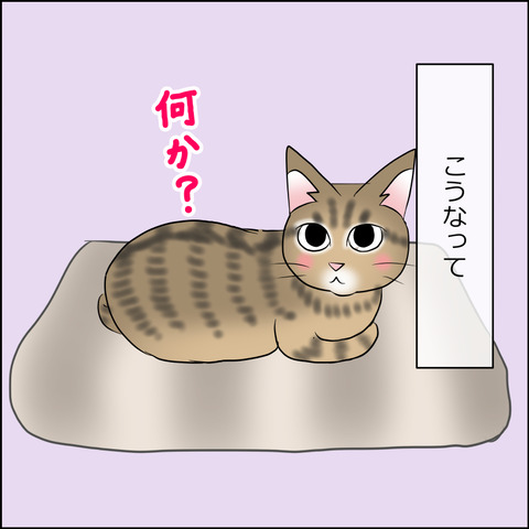 あんこ＆麦STORY1857c