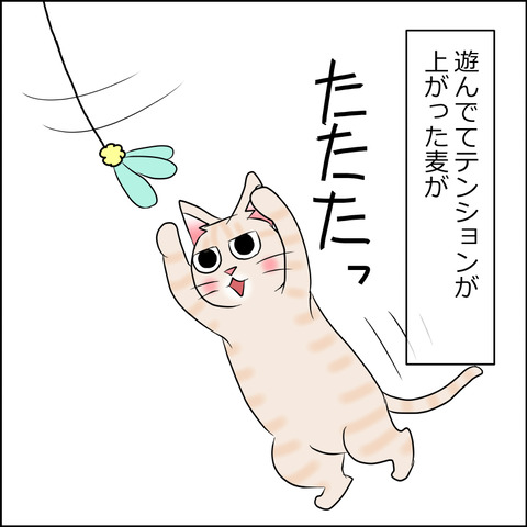 あんこ&麦STORY1761a