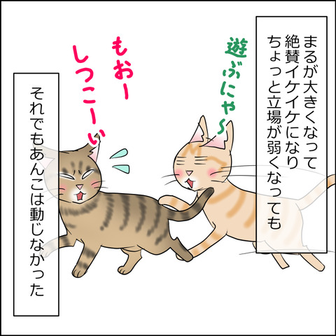 あんこ＆麦STORY2424b