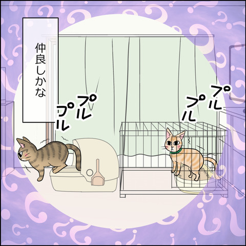 あんこ＆麦STORY2132d