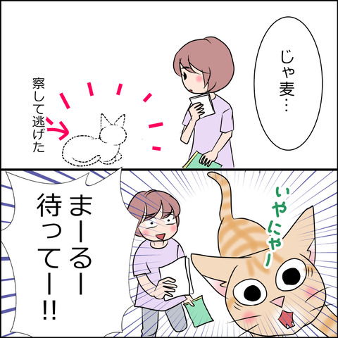 あんこ＆麦STORY1950b