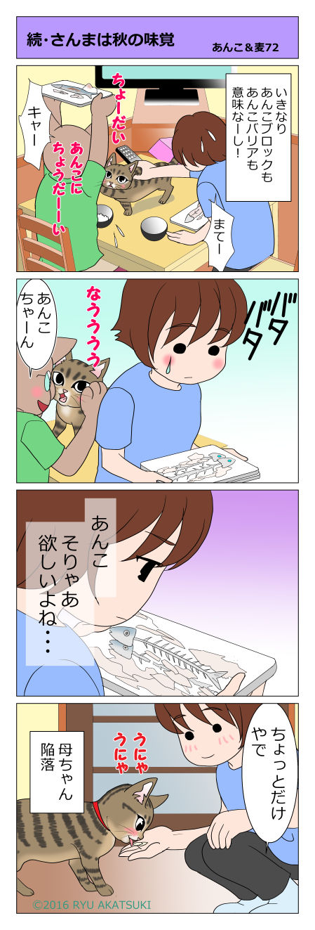 あんこ＆麦STORY72