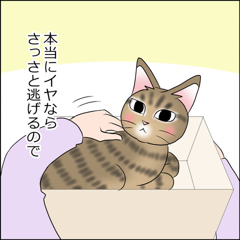 あんこ＆麦STORY1744c