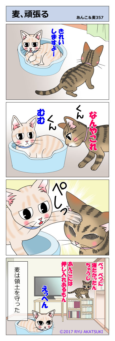 あんこ&麦STORY357