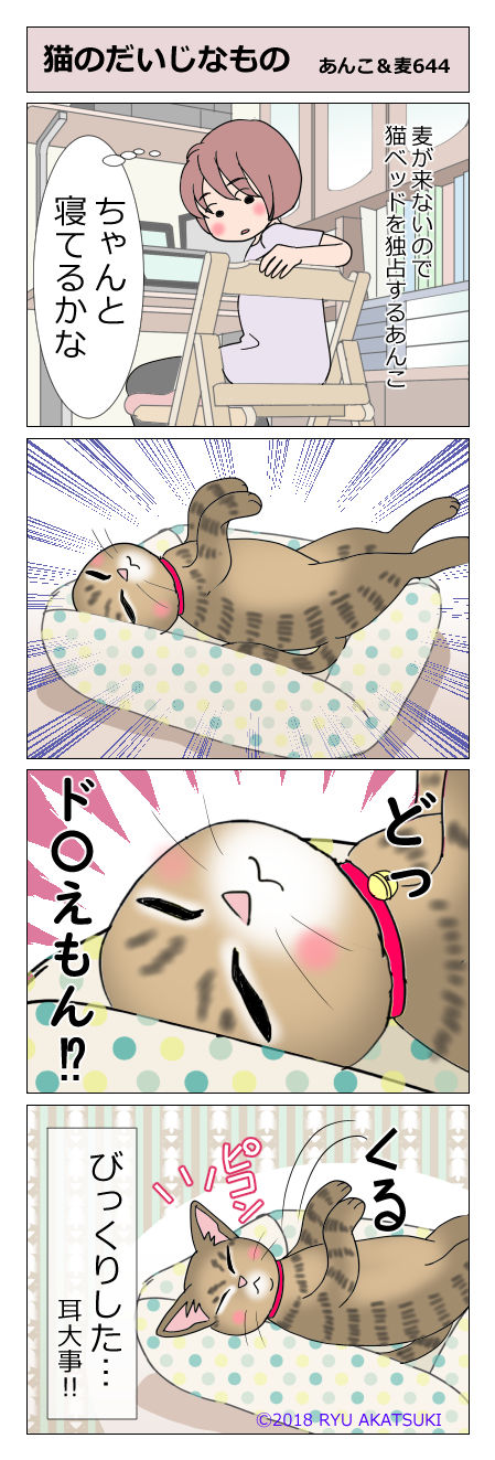 あんこ&麦STORY644