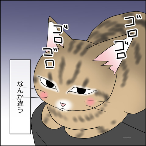 あんこ&麦STORY2430d